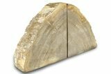 Petrified Wood (Tropical Hardwood) Bookends - Indonesia #266200-1